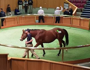 Brighthill Farm's Lot 415, in foal to Tavistock, sold for $130,000.